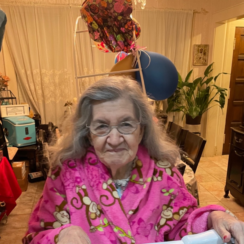 María G.Rosales- Banner